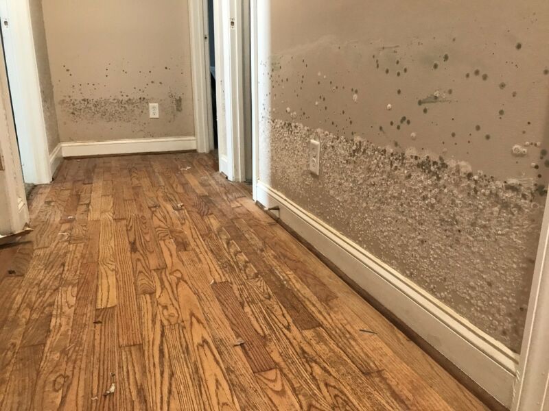 Check Out Assessing Damage https://jgwgroupwaterdamagerestoration.com/wp-content/uploads/2023/07/Water-Damage-Restoration-Assessing-Damage-Flooring-Materials-Water-Damage-32b84f70.jpg