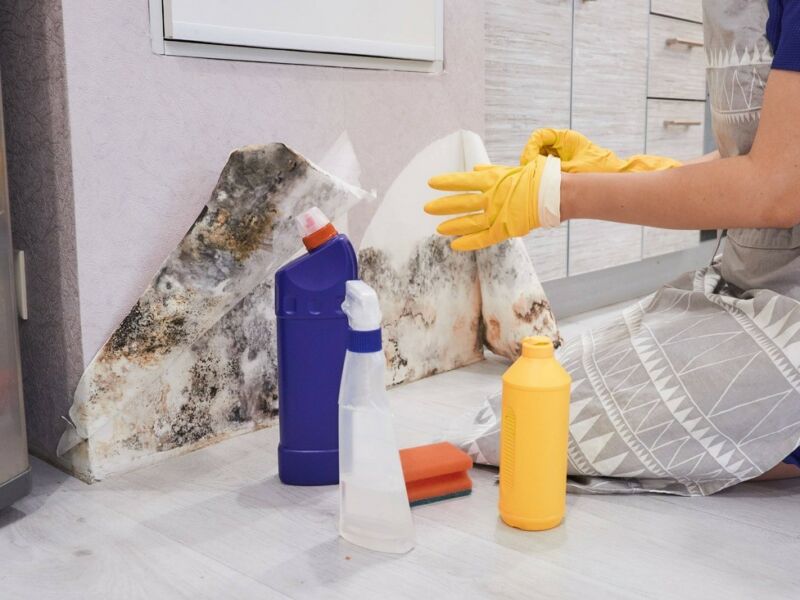 View flooded basement cleanup https://jgwgroupwaterdamagerestoration.com/wp-content/uploads/2023/07/surviving-water-damage-evacuation-tips-safe-returns-water-damage-restoration-flooded-basement-cleanup-water-extraction-services-mold-remediation-experts-emergency-water-damage-repair-water-damage-restoration-e5a23768.jpg