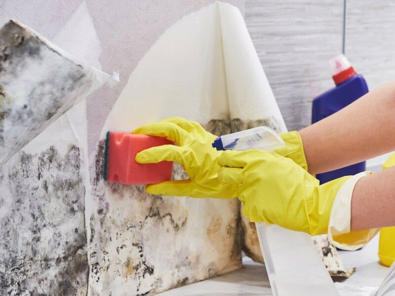 Check Out Basement Flooded Water Damage Restoration https://jgwgroupwaterdamagerestoration.com/wp-content/uploads/2023/08/Basement-Flooded-Water-Damage-Restoration-Basement-Restoration-Water-Damage-Common-Household-Water-Damage-Statistics-Basement-Flooded-Water-Damage-Restoration-d1630721.jpg