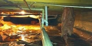 A Photo of Crawl Space Mold Removal https://jgwgroupwaterdamagerestoration.com/wp-content/uploads/2023/08/Crawl-Space-Cleanup-Crawl-Space-Restoration-Crawl-Space-Mold-Removal-Mold-Remediation-Hiring-a-Pro-for-Crawl-Spaces-FAQs-Average-Cost-to-Repair-a-Crawl-Space-Water-Damage-Restoration-c41e5b88.jpeg