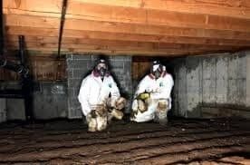 A Photo of Crawl Space Restoration https://jgwgroupwaterdamagerestoration.com/wp-content/uploads/2023/08/Crawl-Space-Cleanup-Crawl-Space-Restoration-Crawl-Space-Mold-Removal-Mold-Remediation-Hiring-a-Pro-for-Crawl-Spaces-FAQs-Average-Cost-to-Repair-a-Crawl-Space-Water-Damage-Restoration-f55649af.jpeg