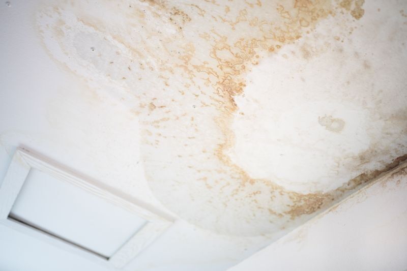 Picture related to water damage restoration https://jgwgroupwaterdamagerestoration.com/wp-content/uploads/2023/08/water-damage-mold-growth-water-damaged-areas-mold-remediation-flood-damage-water-extraction-water-damage-repair-mold-growth-in-water-damaged-areas-water-damage-restoration-mold-growth-in-homes-Water-Damage-Restoration-ae2f0570.jpg