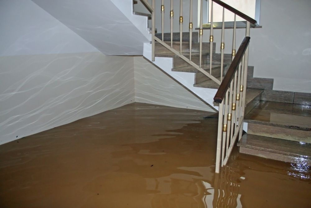 Basement Water Removal