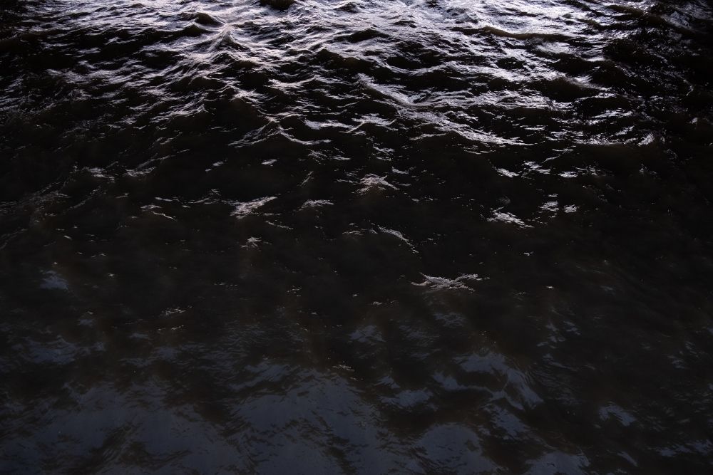 Black Water Cleanup