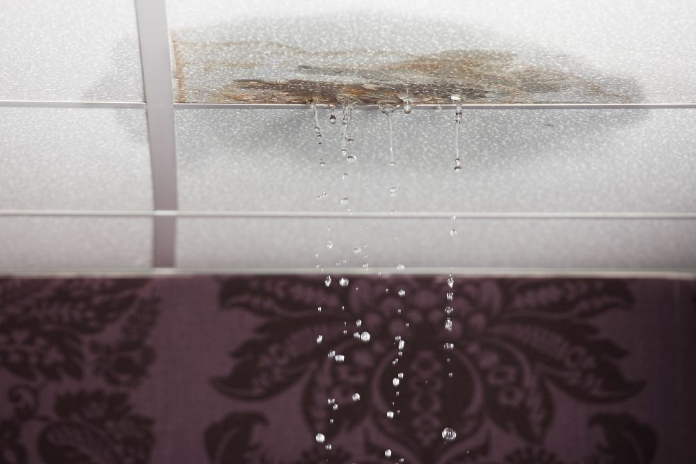 Ceiling Water Damage Repair