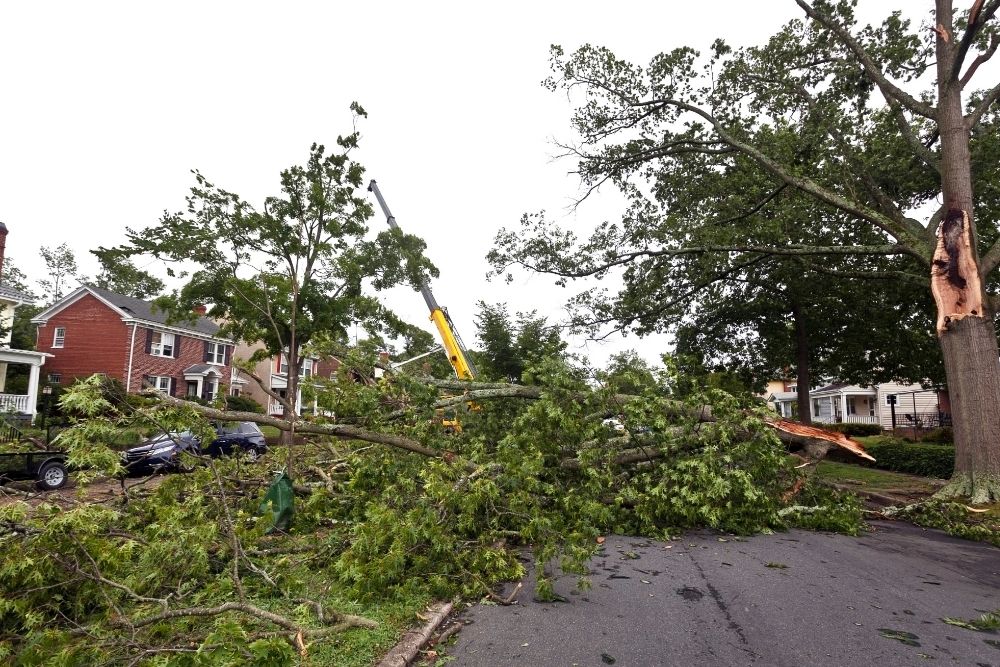 Emergency Storm Response