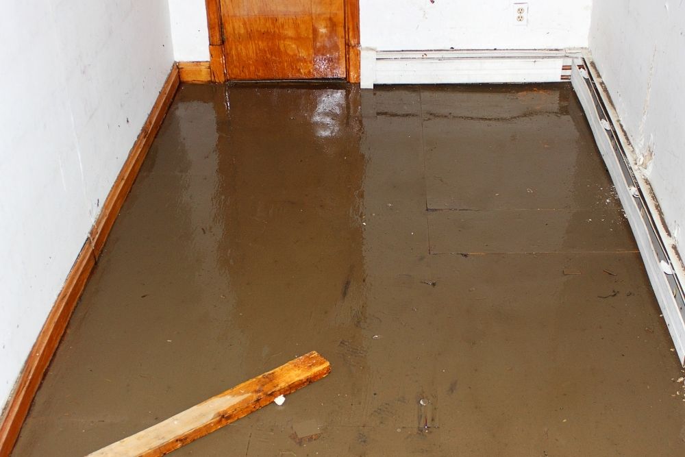 Flood Damage Cleanup
