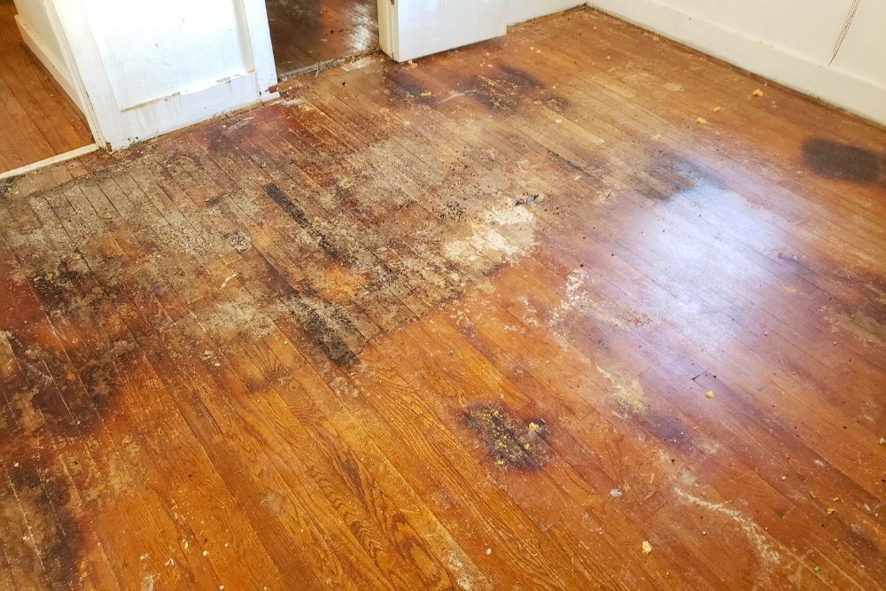 Hardwood Floor Water Damage