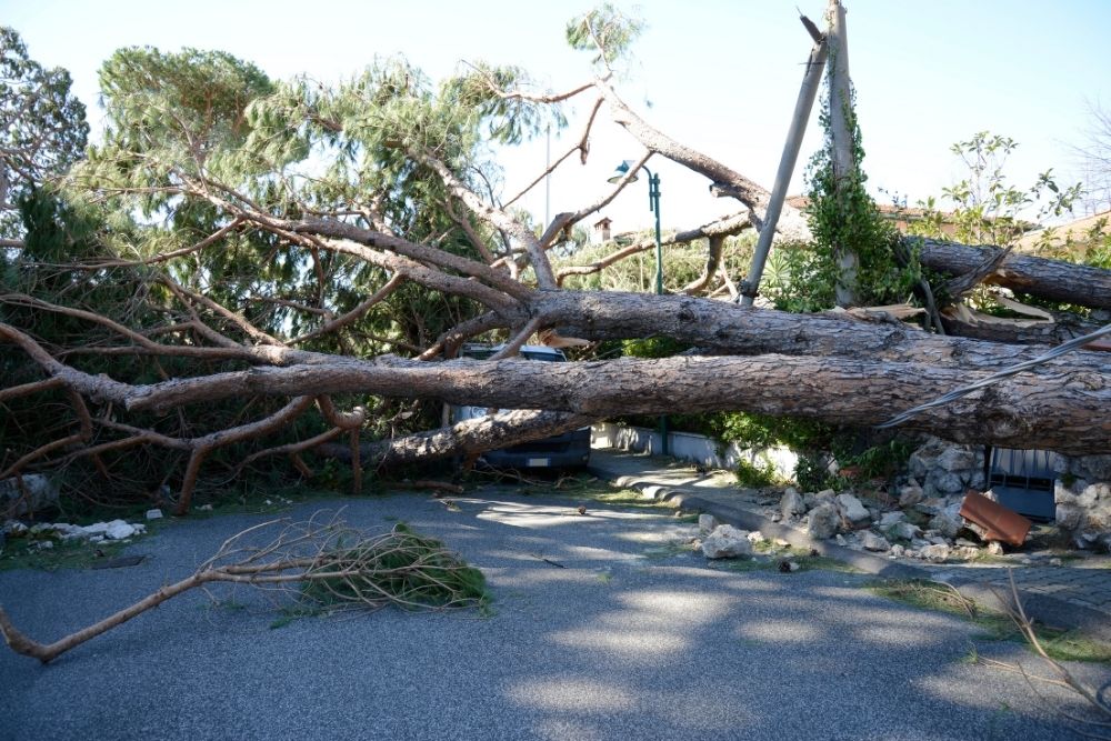 Hurricane Damage Restoration