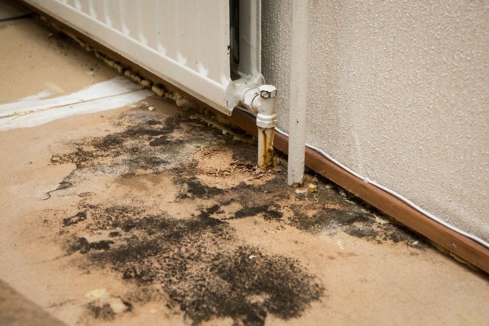 Mold In HVAC Systems
