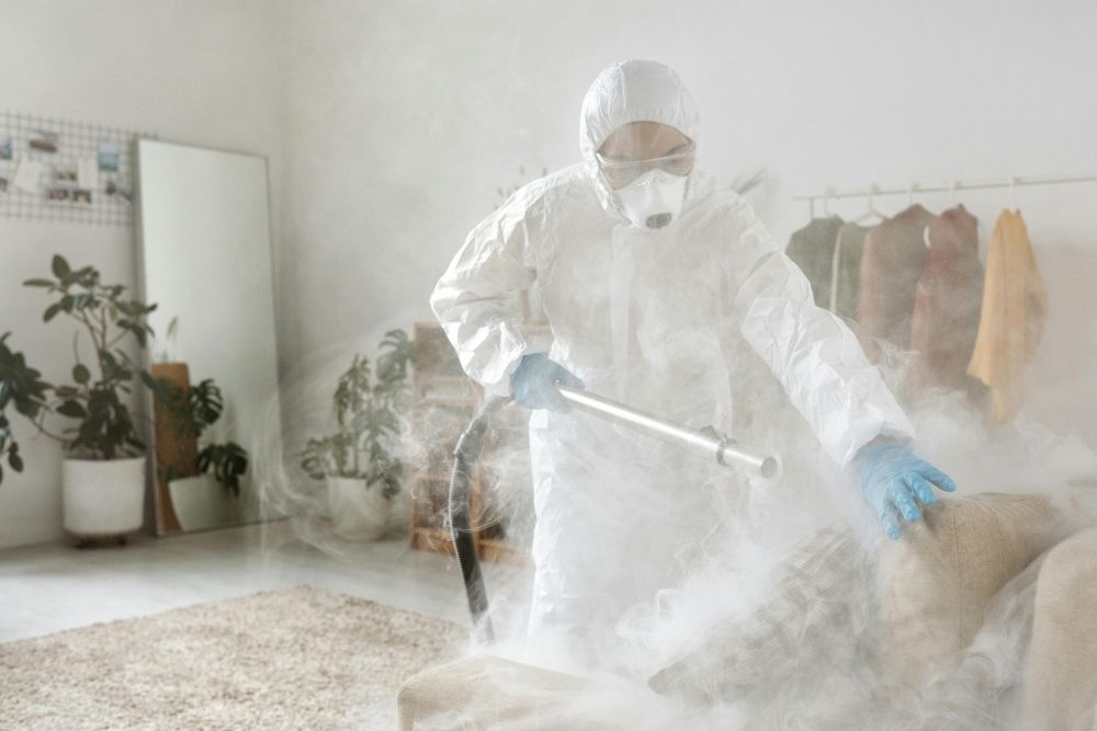 Odor Removal Services
