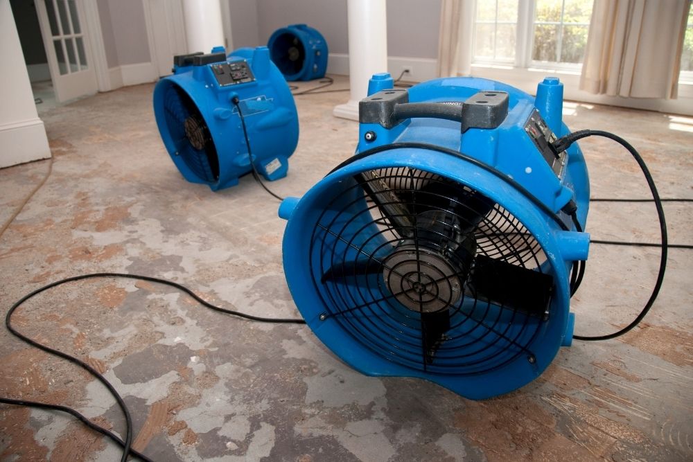 Restoration Equipment And Technology