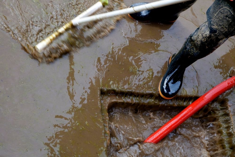 Sewage Flood Cleanup