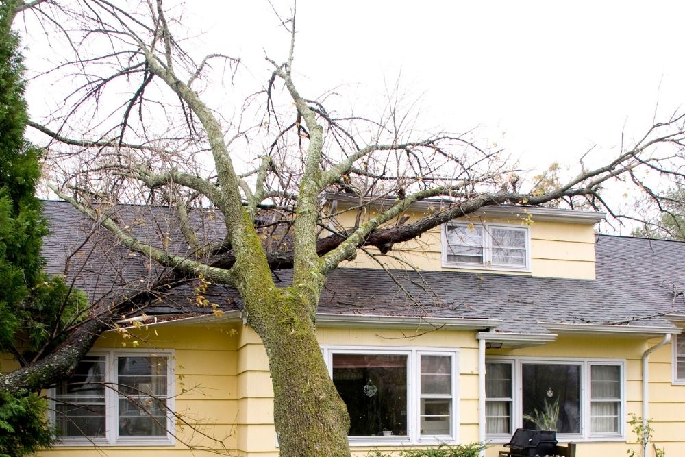 Storm Damage
