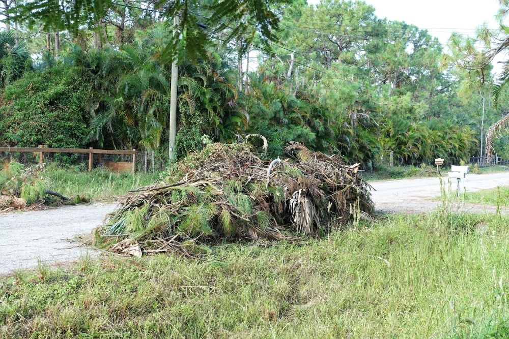 Storm Debris Removal
