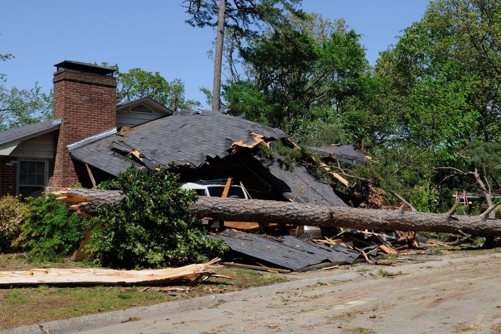 Tornado Damage Cleanup
