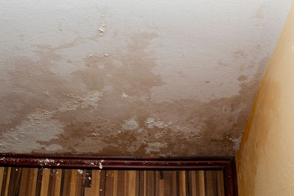 Wet Drywall Removal