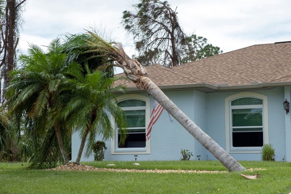 Wind Damage Restoration